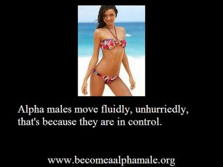 The Alpha Male Secrets