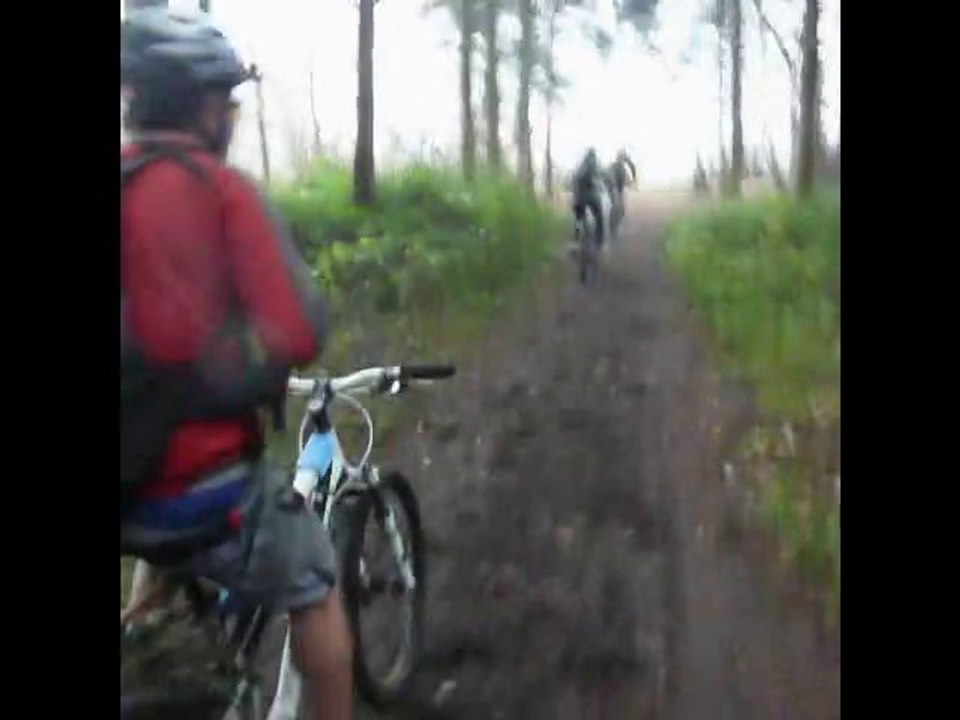 Ermenonville_21nov2010