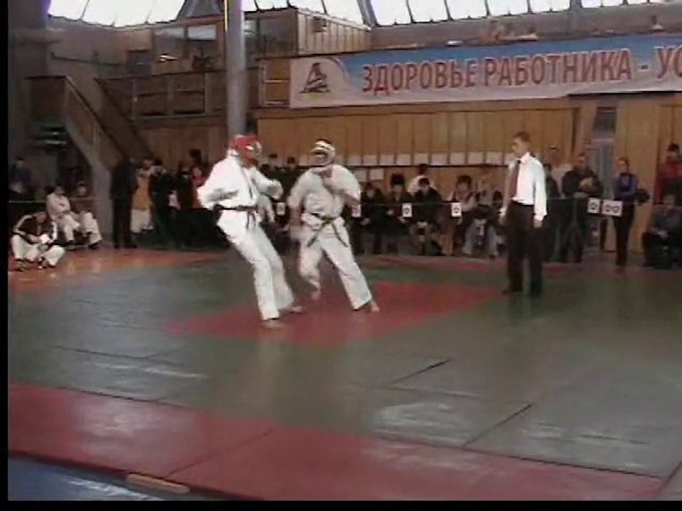 This is Zendo!