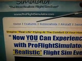 ProFlightSimulator Flight Sim Game