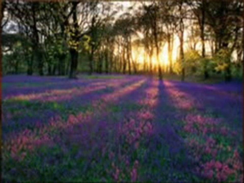 Searching for cool images for the laptop or computer