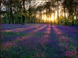 Searching for cool images for the laptop or computer