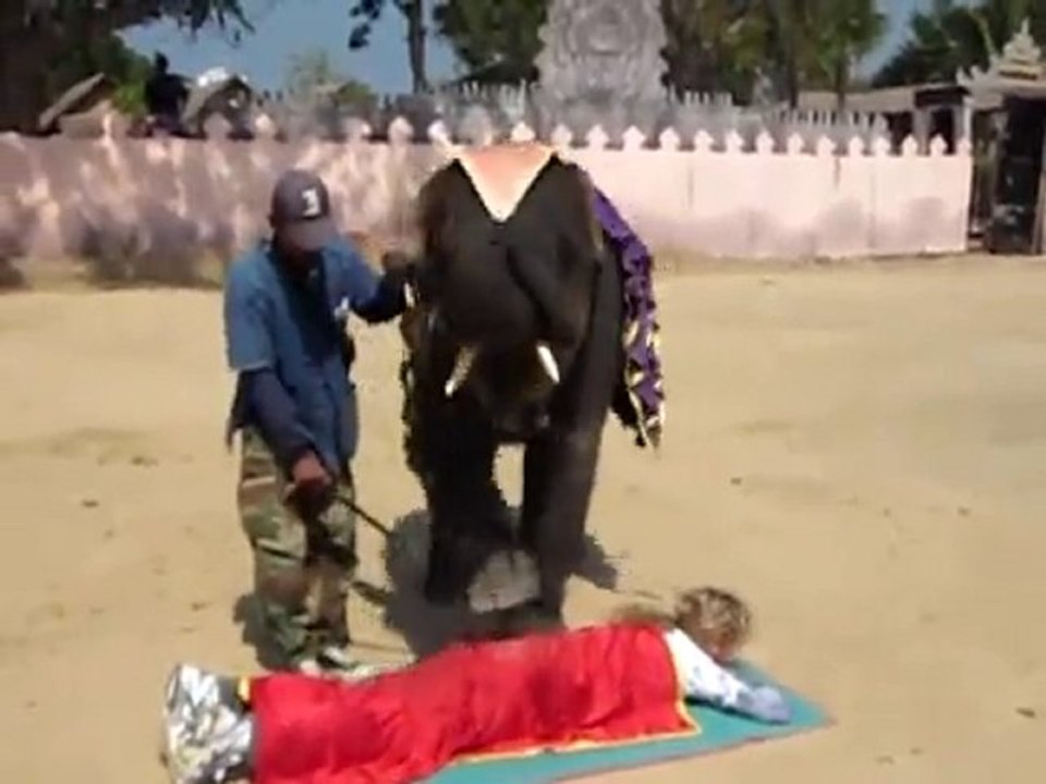 KimMassageElephant