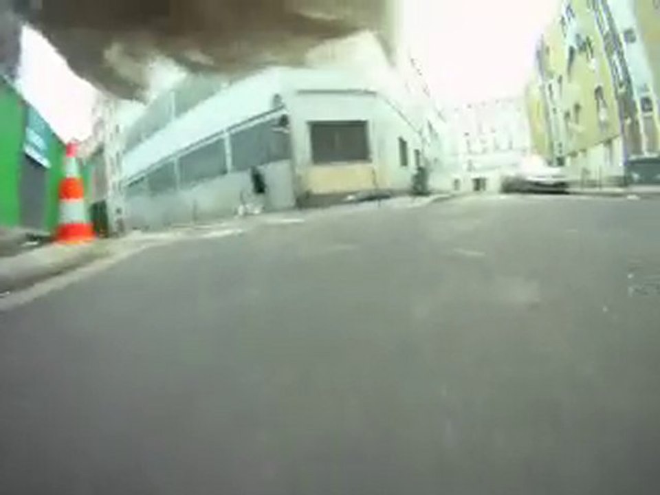 Vu de chien, la promenade du matin