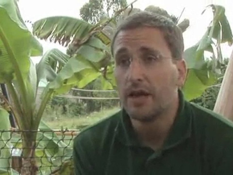 Gorilla Relations What kind of relationship do you have with the