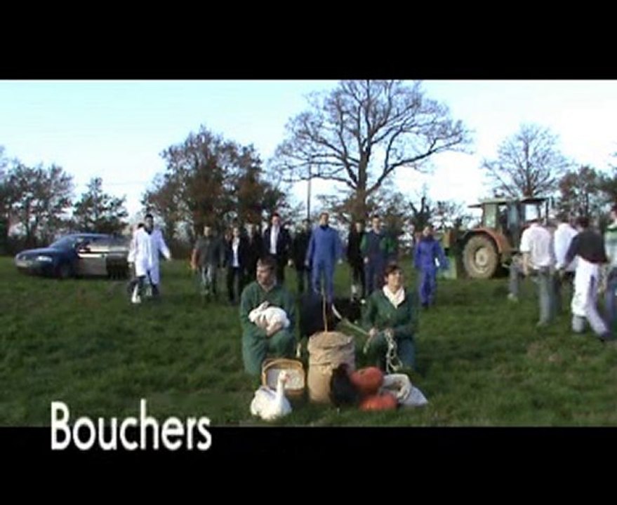 Film CMO ACSE2 Etablieres