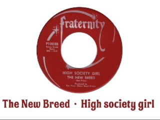 The New Breed - High society girl