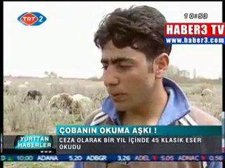 Kitap Okumanın Faydaları