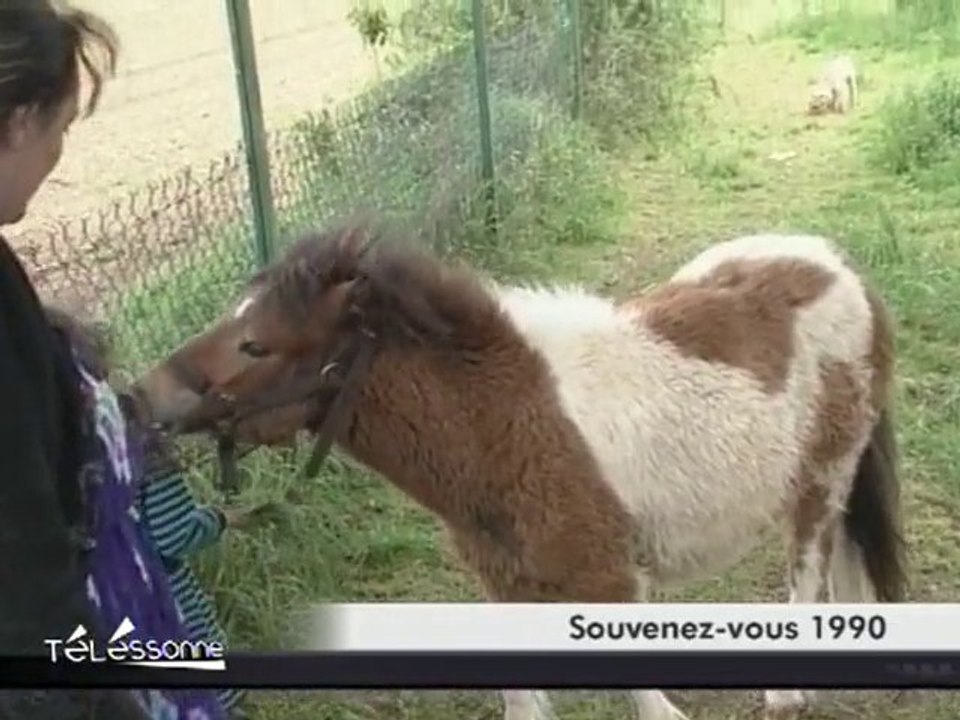 Une femme qui aime les animaux! (Essonne)