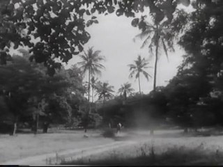 CINEMA PORTUGUÊS - «CHAIMITE» - VIDEO 1