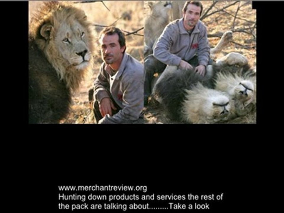 Tiger and Man