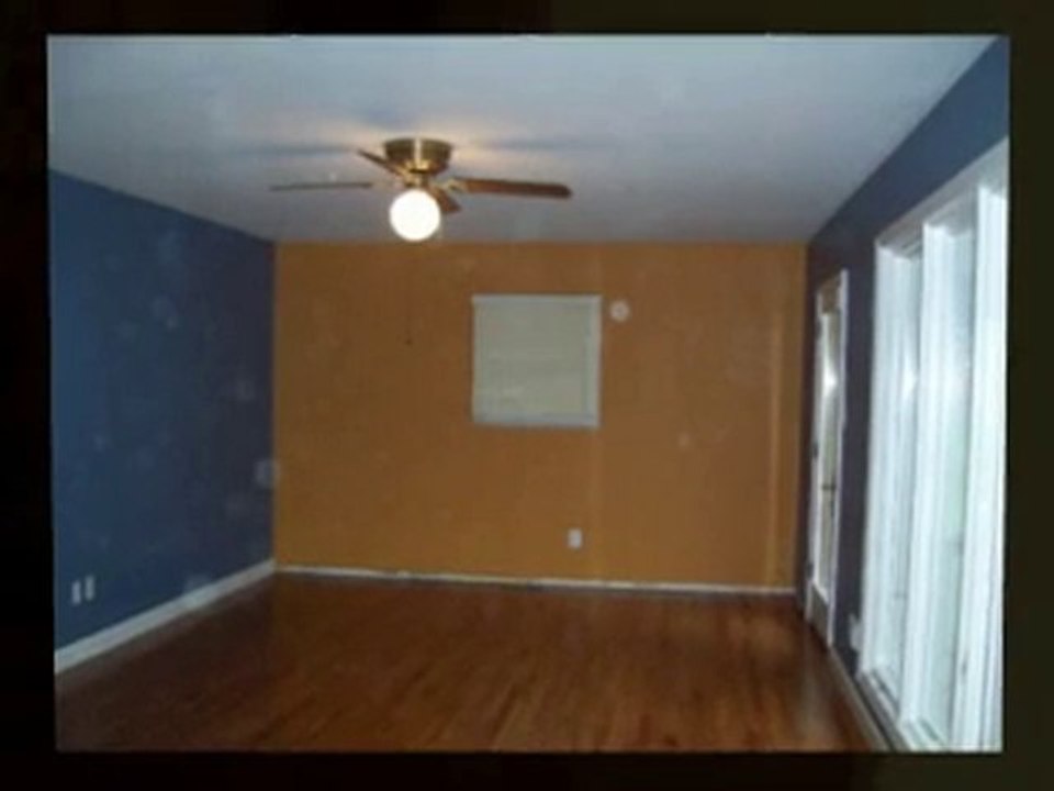 Animoto - Ligons Painting