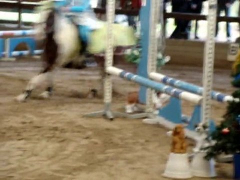 Cso déguisé Conches le 12 décembre 2010