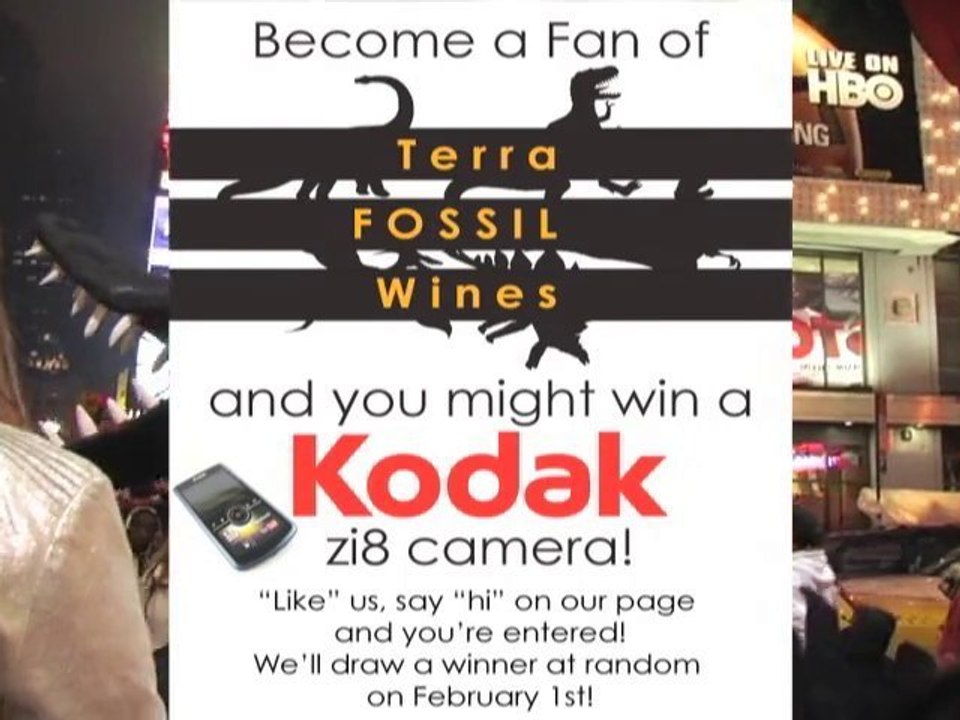 Win a Kodak Zi8 HD Camera from Terra Fossil!