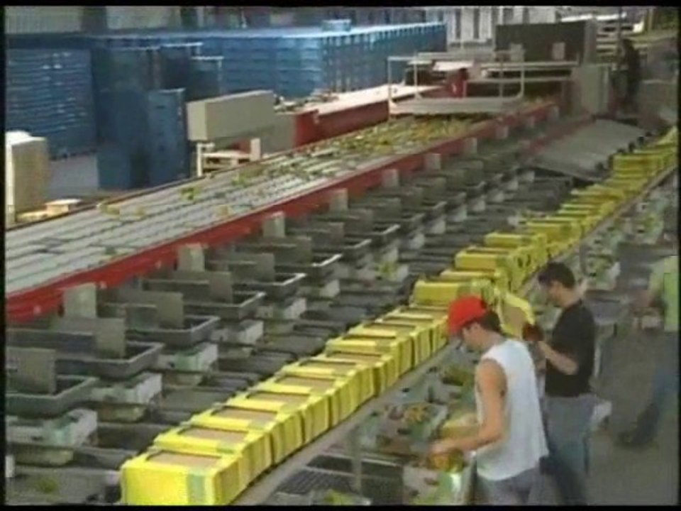 Cummins Grupos Electrogenos