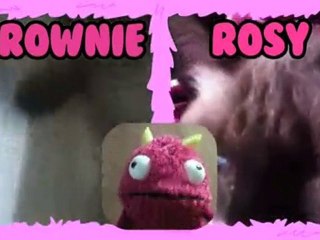 Brownie VS Rosy - Number One Super Cutie Patootie 019