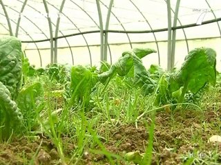 Agriculture: La filière Bio s'inquiète (Loire Atlantique)