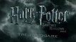 Bande-Annonce du jeu Harry Potter et les reliques de la mort