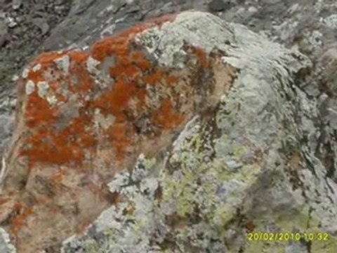 BEYAĞIL RESİMLERİ ŞUBAT 2010-1A İRFAN VURAL