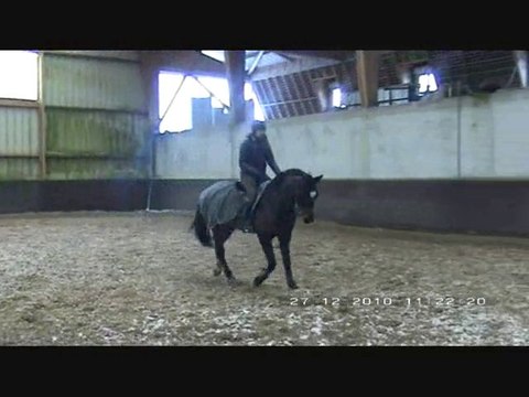 Travail d'hiver P.Pradier Ballyboy