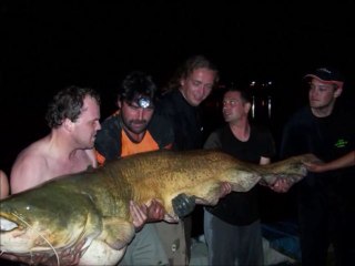 sejour WTF mequineza 2010 part2