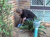 Pest Control North Sydney Pest Inspections NSW