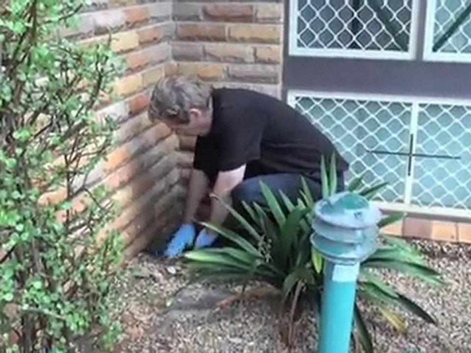 Pest Control North Sydney Pest Inspections NSW