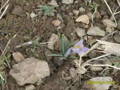 BEYAĞIL RESİMLERİ ŞUBAT 2010-1AA İRFAN VURAL