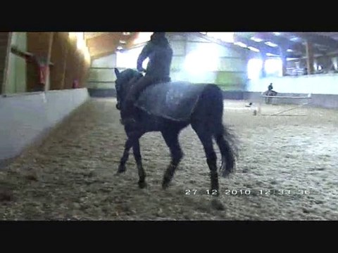 Travail d'hiver dun cheval de dressage selius avec P.Pradier