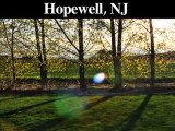 Tree Stump Removal | Stump Grinding | Hopewell, NJ