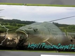 Diapo 2010 Passioncarpe72