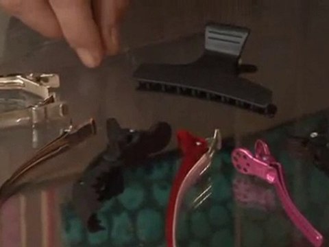 Hairdressing Essentials Hair Clips