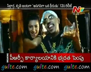 Gulte.com - Shruti Hassan sets her eyes on AOD