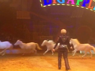 Ponies at the Rock n Roll Circus - Big Apple Circus, NYC