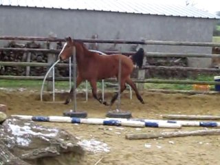 Titmiss Domain allures