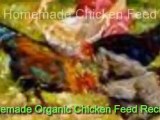 Homemade Organic Chicken Feed