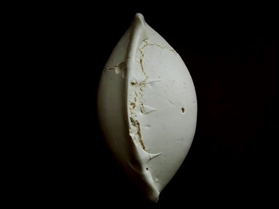 PASCAL RAVAT  ZAN DE THE WEEK ALIBIS