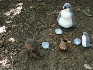 The Five Nations Tournament [Film]