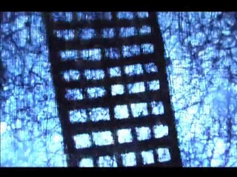 Naturellement (BE GREEN Film Festival - Saison 1)