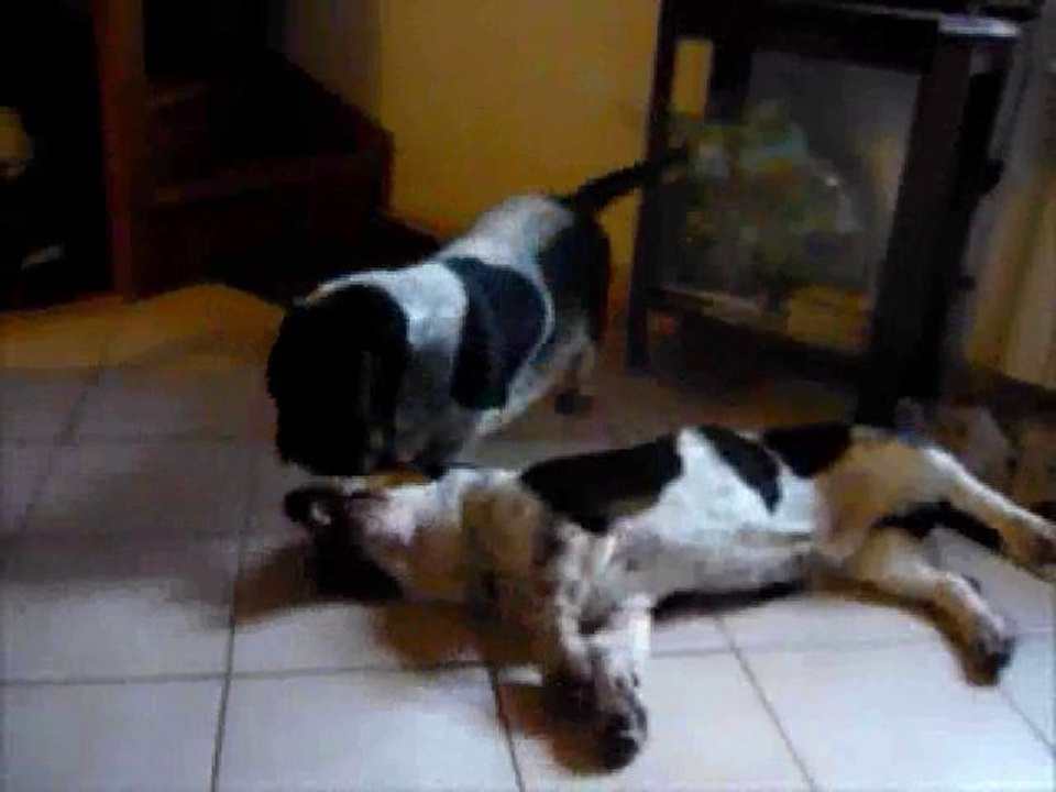 Frère & Soeur