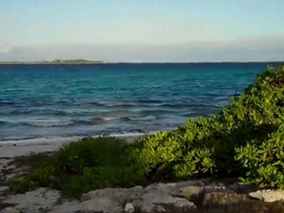 VID00028