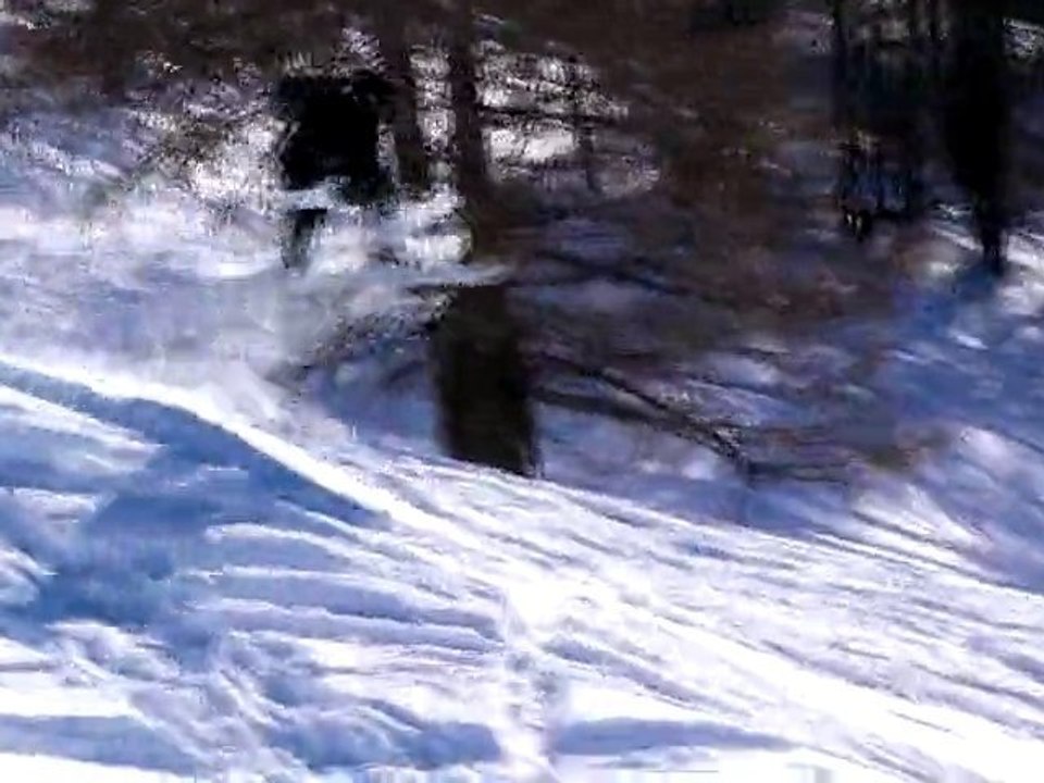 ISS 84-54 ski and snow francouse action