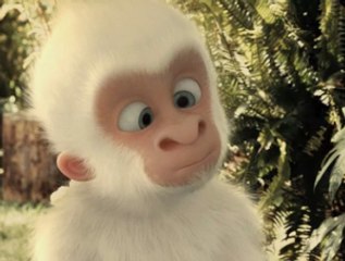 Copito de nieve - Primeras imágenes. Gorila a la fuga