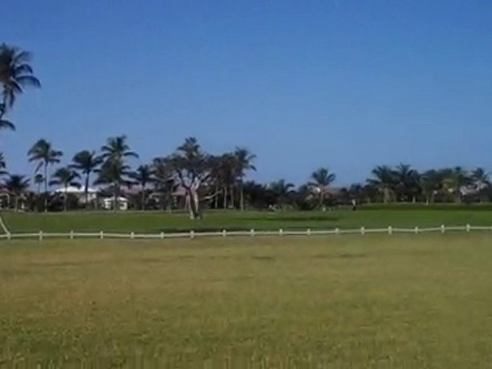 VID00041