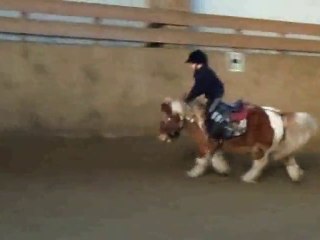 gamèle à poney
