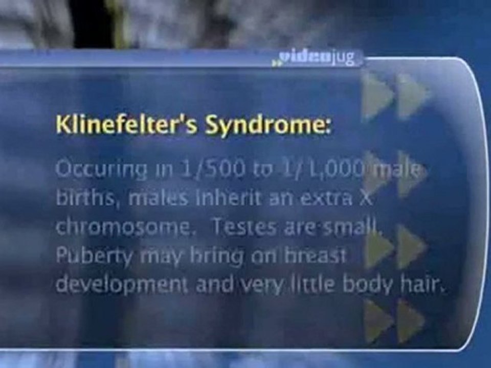 Intersex And Hermaphrodite : What does 'intersex' mean?