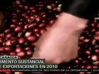 Exportaciones en Nicaragua aumentaron en 2010