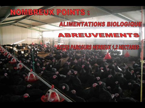 Circuits courts aux Sicaudières