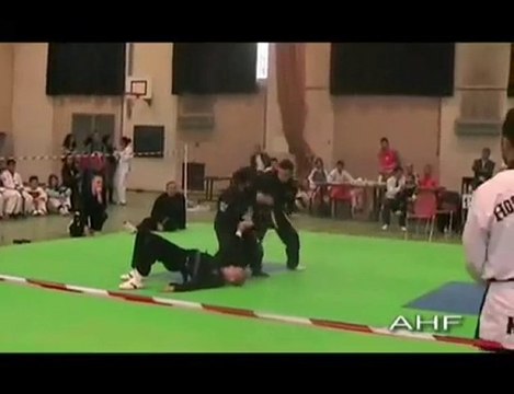 Aigle Hapkido Démonstration 2006 Championat TKD