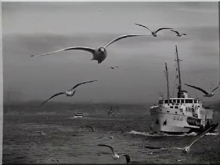 Lokman Kaya Ben sana fazla masum biriyim özür dilerim